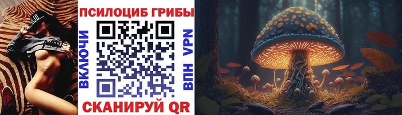 Галлюциногенные грибы Psilocybe  Купить  Вятские Поляны 
